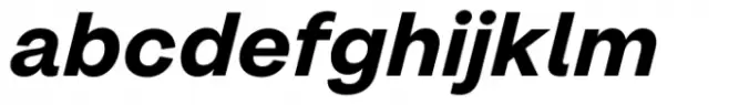 1955 Bold Italic