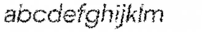 2031 Light Italic Volt