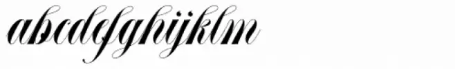Abella Script Regular