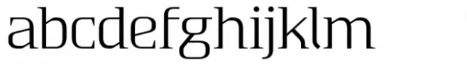 Absentia Serif Book