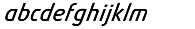 Absolut Pro Book Extra Italic