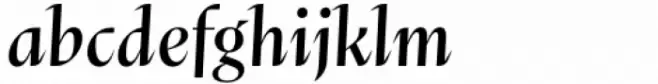 Abstract Regular Italic