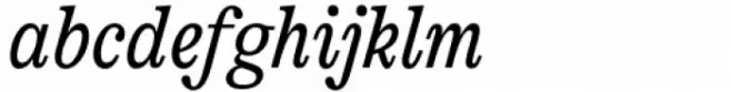 AC Honey Bee Serif Italic