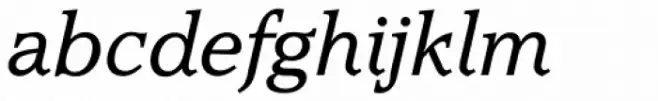 Accolade TS Light Italic