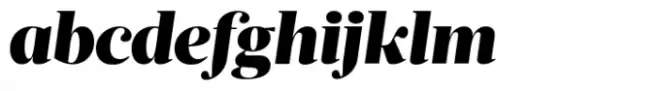 Acta Variable Italic