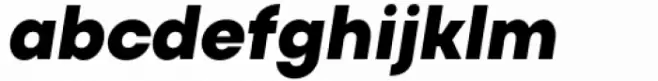 Actay Black Italic
