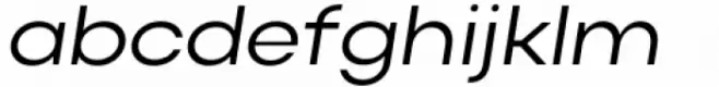 Actay Wide Regular Italic