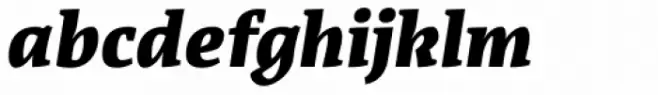 Acuta Black Italic
