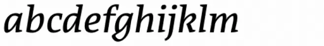 Acuta Book Italic