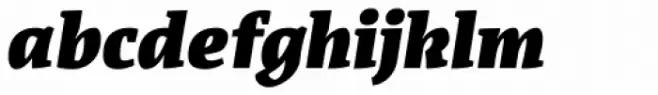 Acuta Fat Italic