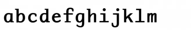 Adaptive Mono Bold