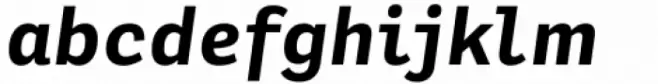 Adelle Mono Flex Bold Italic