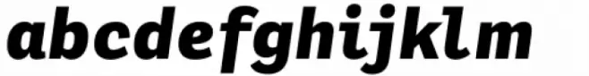 Adelle Mono Flex Extrabold Italic