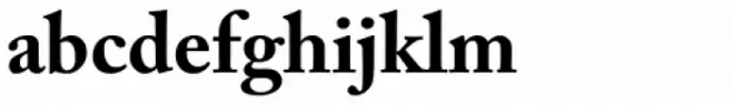 Adobe Caslon Pro Bold