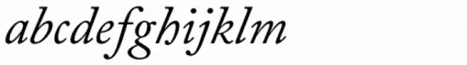 Adobe Caslon Pro Italic
