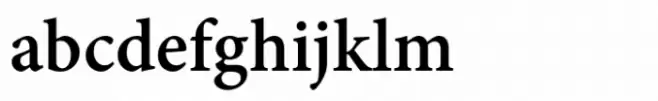 Adobe Telugu Bold