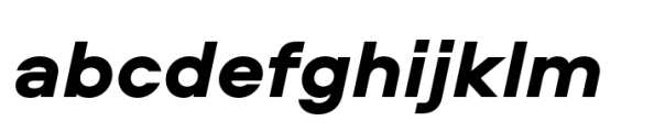 Aeroport Black Italic