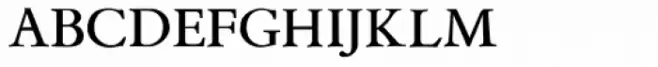 Aetna JY SCOSF Medium