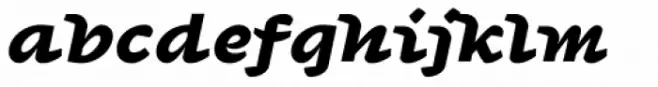 Agarsky Black Italic