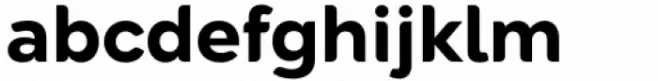 Agenor Neue Bold