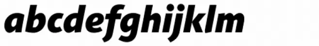 Agilita Pro Black Italic