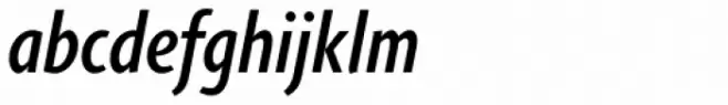 Agilita Pro Condensed Medium Italic