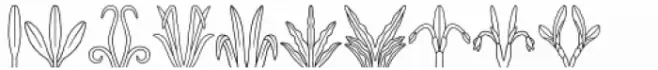 Aguadija Icons