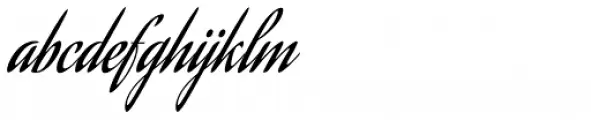 Aguafina Script Pro