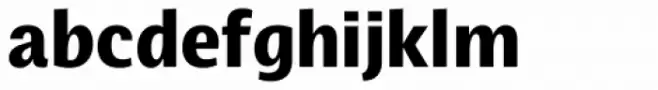 Ahimsa Bold