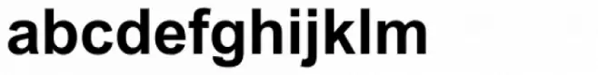 Akhbar Bold