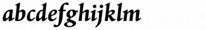 Albertina Std Bold Italic