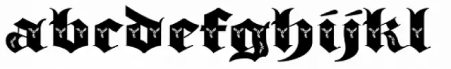 Albion's Black Holly