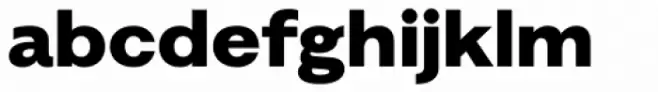 Alergia Grotesk Wide Black