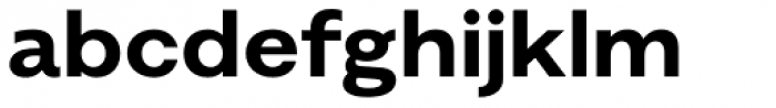 Alergia Grotesk Wide Bold