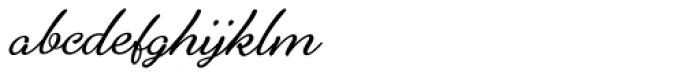 Alfons Brush Regular