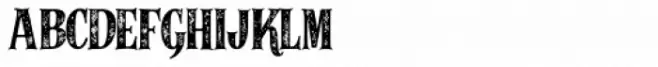 Alfons Serif Bold 2 Printed