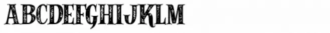 Alfons Serif Bold Printed