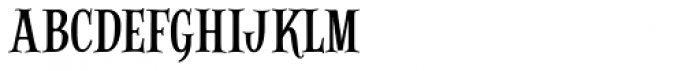 Alfons Serif Regular