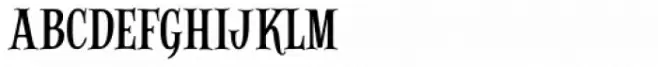 Alfons Serif Regular