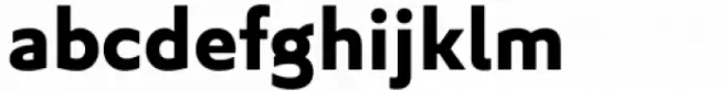 Algera  Bold