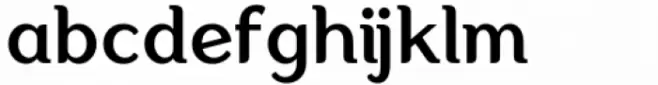 Aligarh Arabic Medium