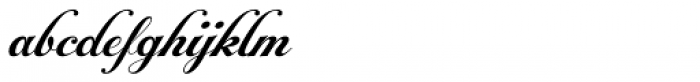 Alipe Script Bold