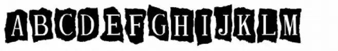 Allograph JNL