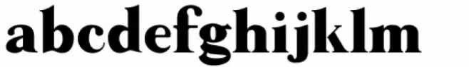 Along Serif BSC Black