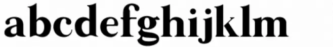 Along Serif BSC Bold