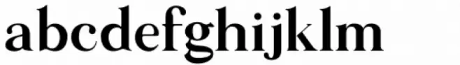Along Serif BSC Medium