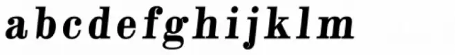 Alta Mesa Fill L Regular Italic