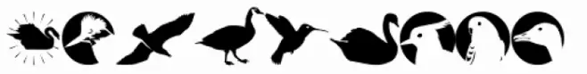 Altemus Birds Two 