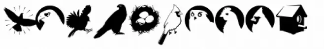 Altemus Birds