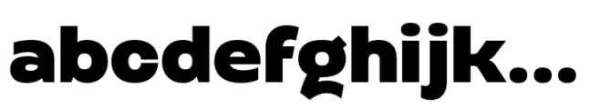Altertypo Extra Bold